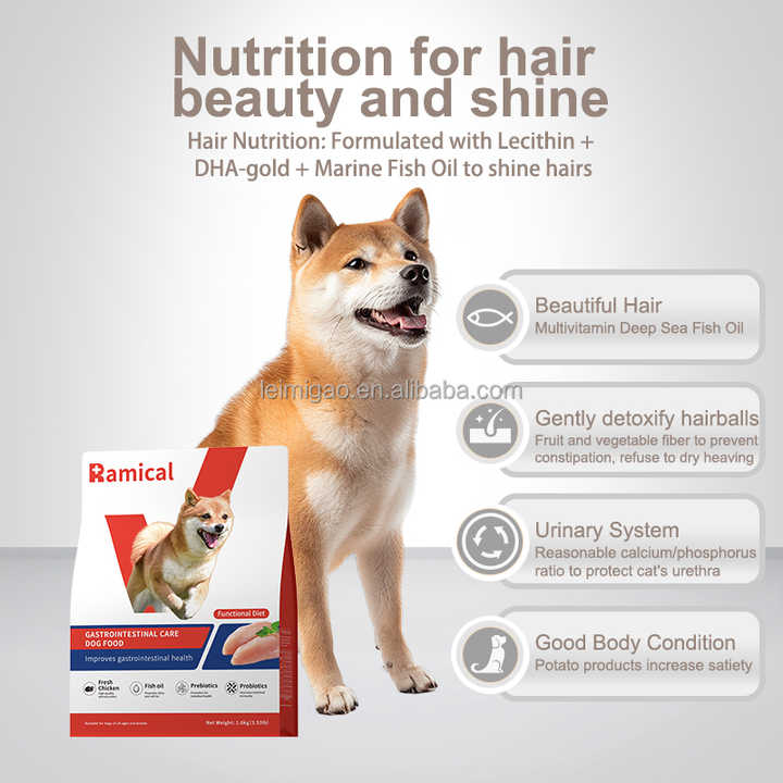 Improve Intestinal Immunity Samples Pet Food Adult Puppy Pet Treats Regulate Bowel Plants Dry Dog Food 
