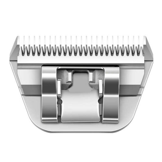 قص شعر القطط - اكسسوارات حيوانات