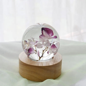 New Gift Set 