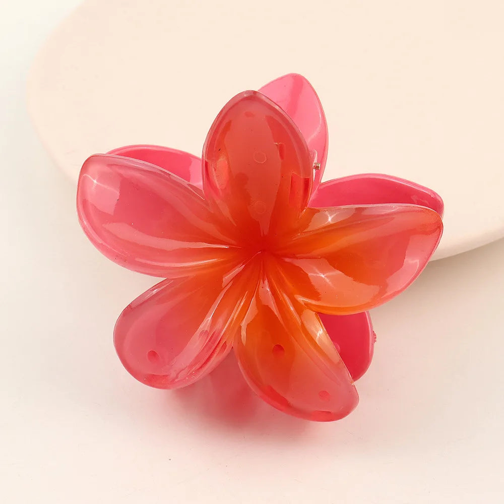 مشبك شعر شفاف - Hair Clip