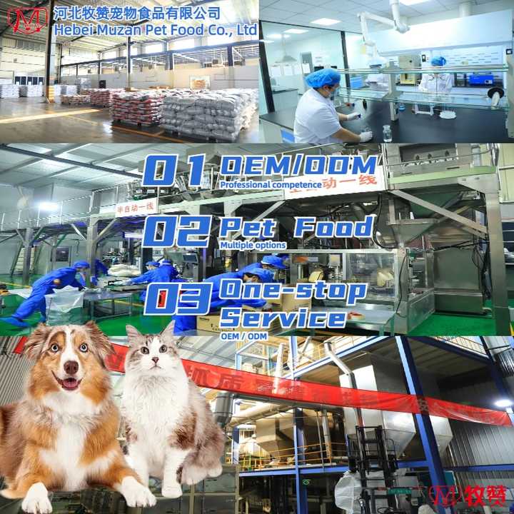 OEM ODM Dry Dog Food 5kg 10kg Pet Food Wholesale High Quality Private Label Pet Dog Food OEM ODM Dry Dog Food 5kg 10kg Pet Food Wholesale High Quality Private Label Pet Dog Food 
