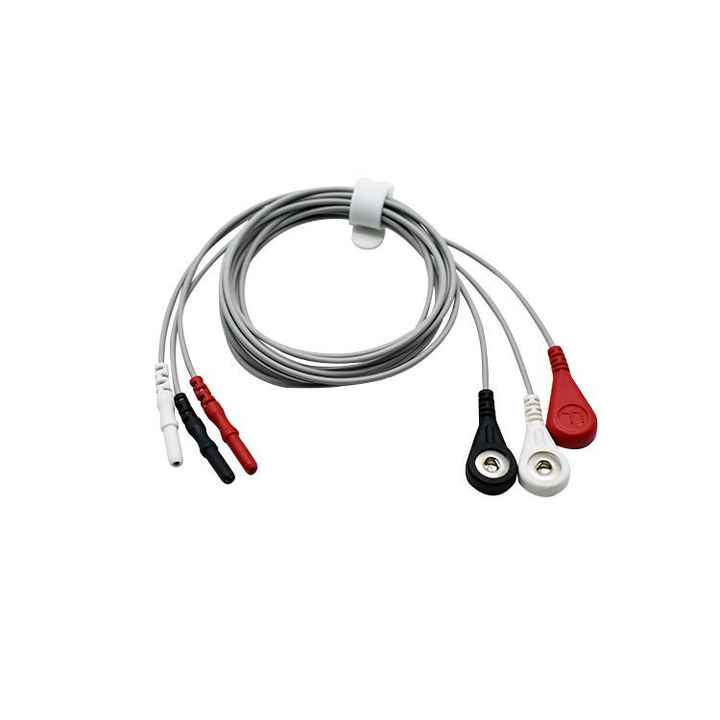 OEM Type D 3 Lead Dynamic ECG Machine 