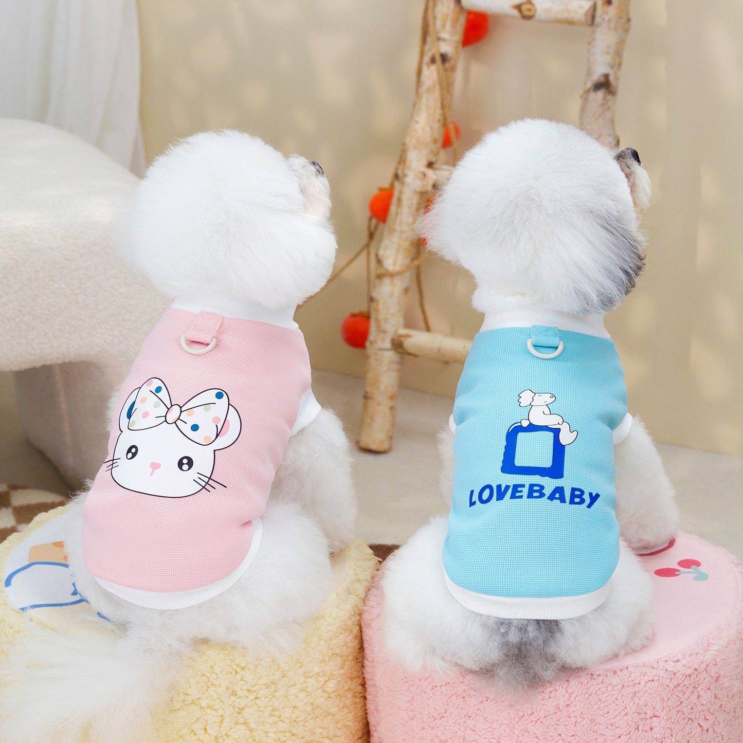 اكسسوارات حيوانات