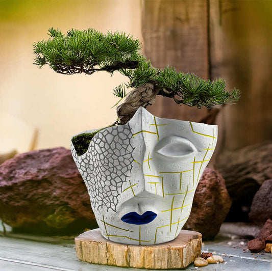 Contemporary resin manufacturing 