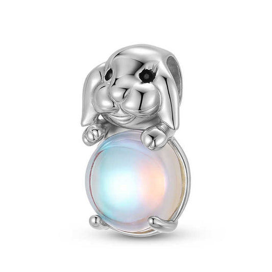 Rabbit Charm Authentic 925 Sterling Silver -سحر أرنب قصير الأذن