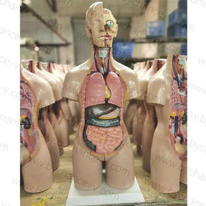 مستلزمات طبيه , Medical supplies