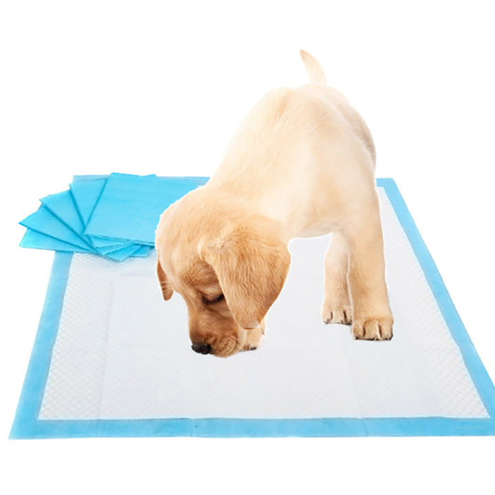 Toilet Training Pad - Medical Pet Supplies 