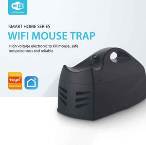 High voltage electronic mouse trap 