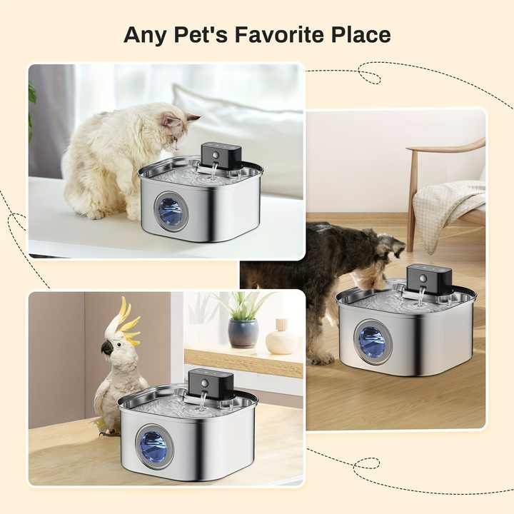 3.2 لتر صلب مقاوم للصدأ أوتوماتيكي كلب القط Cordless mah بطارية طاقة محمولة حيوان أليف داخلي Stainless steel dog bowl with large capacity of 7 liters