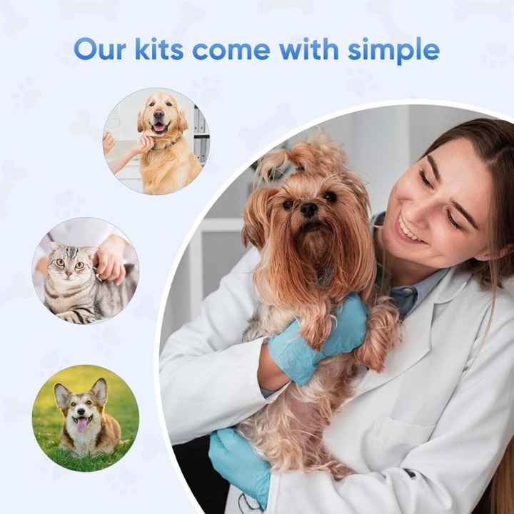 اختبار GIA Ag للكلب Pet Parvovirus Kit اختبار Giardia Ag سريعًا GIA Ag Test for Dog Pet Parvovirus Kit Giardia Ag Rapid Test
