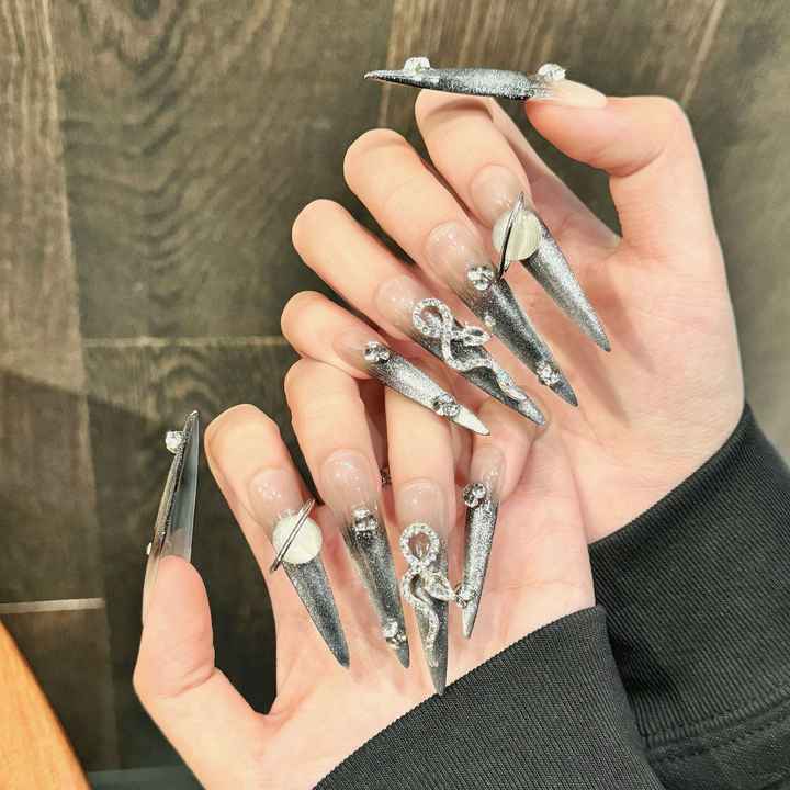 Long Pointed Nails with Silver 