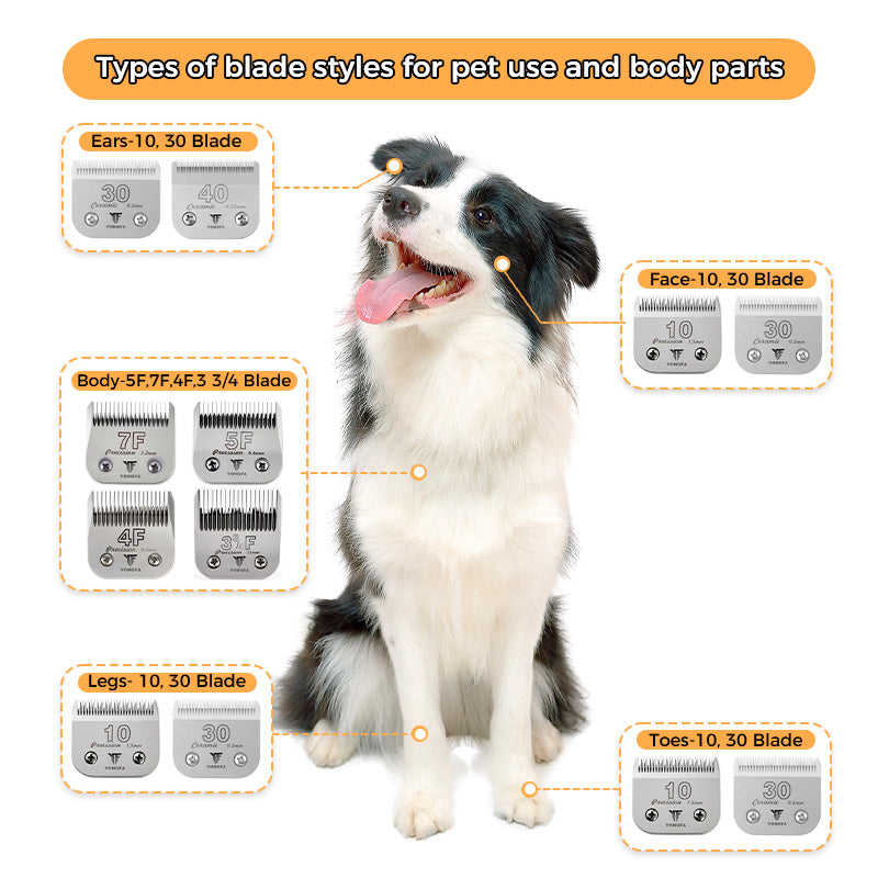 ادوات تنضيف الحيوانات