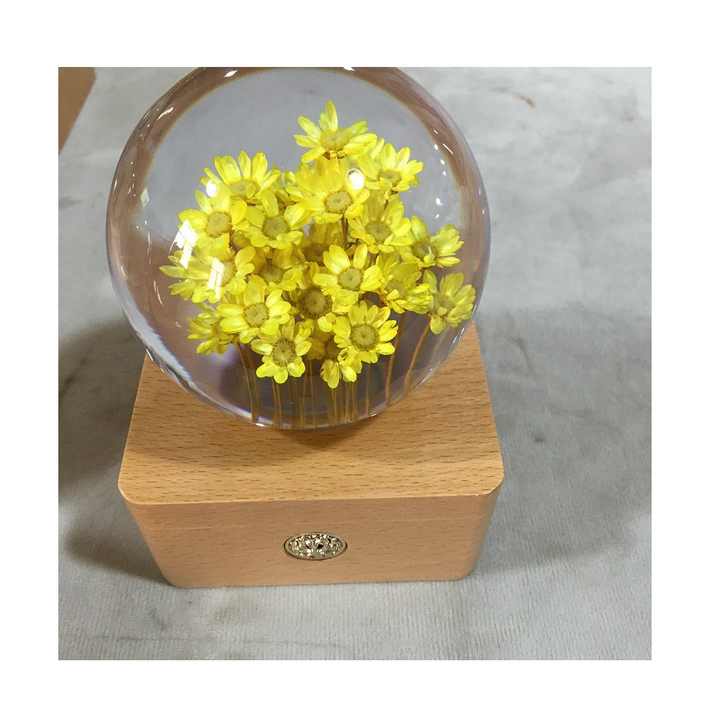 Novelty Gifts Most-هدايا مبتكرة