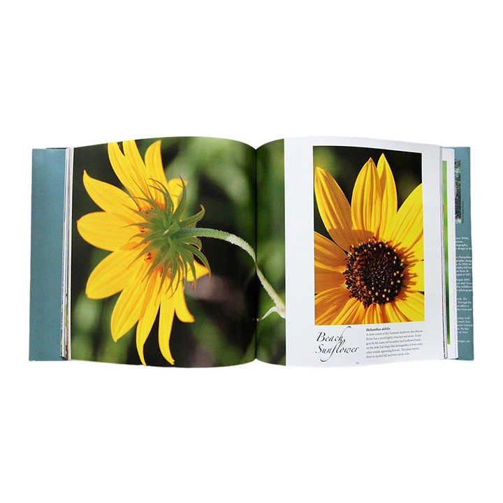 Custom Colorful Book Printing Hardcover Wholesale Paperback English Comic Novel Book Printing طباعة كتب ملونة مخصصة، غلاف مقوى، غلاف ورقي بالجملة، طباعة كتب روايات هزلية إنجليزية