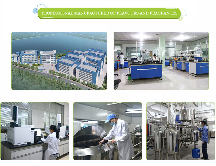 Free Sample Over 700 Kinds Men and Women Original Brand Designer Perfume Bulk Fragrance Oil 