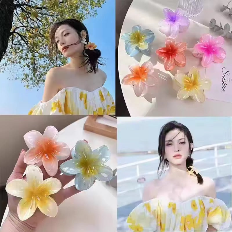 مستلزمات شعر , Hair supplies