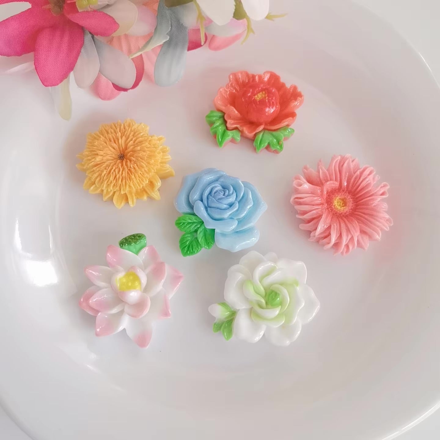اكسسوارات شعر  -  Hair Accessories