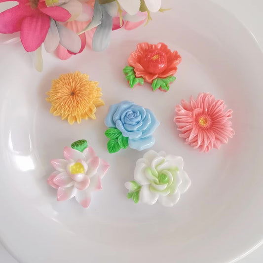 اكسسوارات شعر  -  Hair Accessories