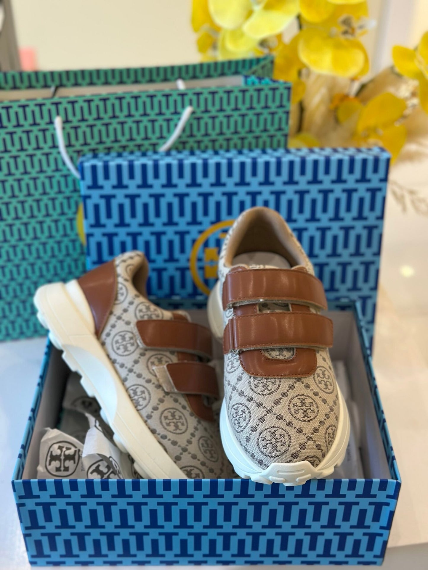 my shoes